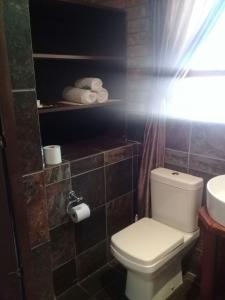 a bathroom with a white toilet and a sink at Roydon Reserve in Queenstown