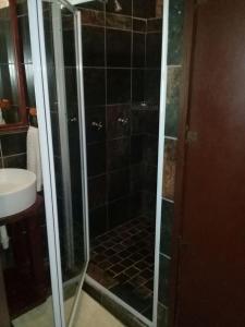 a shower with a glass door next to a sink at Roydon Reserve in Queenstown