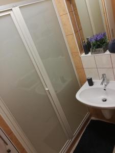 Kúpeľňa v ubytovaní Csabai Apartman