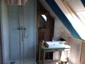 uma casa de banho com um lavatório e um chuveiro em Les Chambres du Mad em Henvic