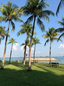 a group of palm trees on the beach at Glamping Kaki - Medium Bell Tent in Singapore