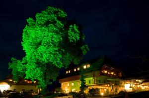 Fotografie z fotogalerie ubytování Hotel Zollner v destinaci Gödersdorf