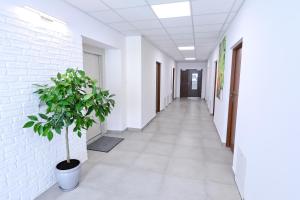 Fotografie z fotogalerie ubytování Orange Tree Hotel v destinaci Będzin