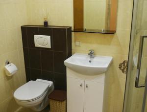 uma casa de banho com um WC e um lavatório em Apartments Victoria em Panevėžys
