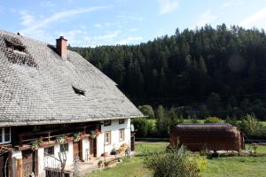 Gallery image of Igluhut Tiny House Winterberghof in Vöhrenbach