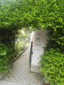 ペーザロにあるil Gelsomino appartamento turisticoのギャラリーの写真