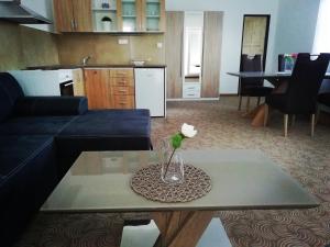 Kuchyň nebo kuchyňský kout v ubytování Apartmány U Stříbrných