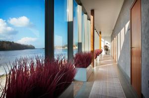 a hallway with potted plants and a view of the water at Ice House Hotel in Ballina