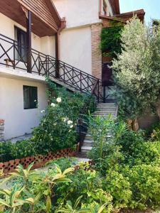 Zahrada ubytování Guest house Fifty