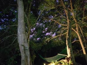 a hammock between two trees at night at Green House Resort in Sigiriya