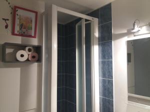 ein Badezimmer mit Dusche und Spiegel in der Unterkunft studio aux pieds des pistes in Besse-et-Saint-Anastaise