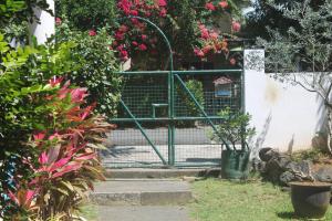 a green gate with a bird house in a garden at Auberge Miko in Grand-Baie
