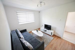 Lovely House Apartment في سراييفو: غرفة معيشة مع أريكة وتلفزيون