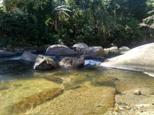un ruisseau d'eau avec des rochers et des arbres dans l'établissement Casa do Rio - Lumiar, à Lumiar