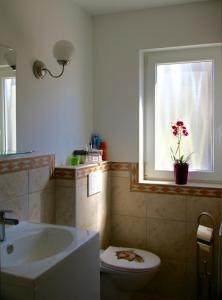 a bathroom with a sink and a toilet and a window at Apartma Marija in Metlika