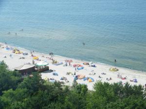 Príroda v okolí apartmánu