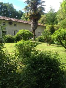 une maison ancienne avec un palmier dans la cour dans l'établissement Gite du Calme 3 Star Bed & Breakfast Cognac, à Chérac