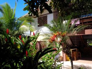 Taman di luar Pagalù Hostel