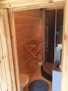 a small bathroom with a toilet and a shower at POD des deux chênes in Louroux-Hodement