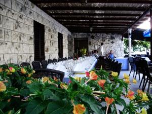a long table in a room with chairs and plants at Guesthouse Pomena in Pomena