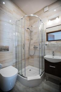 a bathroom with a shower and a toilet and a sink at Villa Baltica in Świnoujście