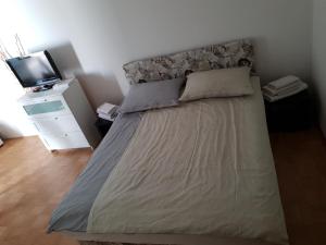 a bedroom with a large bed with a tv on a table at Victoria Apartment in Ljubljana