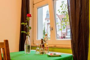 a green table with a flower in a window at finkeshaus in Lüdinghausen +17 photos
