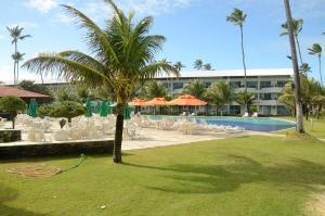 eine Palme vor einem Hotel mit Pool in der Unterkunft Ancorar Flat 4203 in Porto De Galinhas