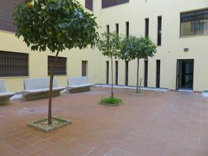 a courtyard with trees and couches in front of a building at Apartamento barrio San Miguel in Jerez de la Frontera +3 photos