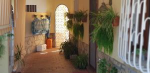 Fotografie z fotogalerie ubytování Casa La Noria v destinaci Nerja