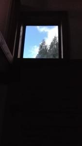 una ventana en una habitación con vistas a un árbol en Terrazas del Palena en La Junta