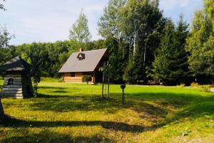 una cabaña de madera con un perro en el techo en un campo en Vēl tuvāk dabai, en Kundzinisķi