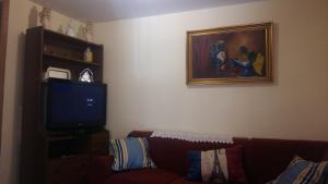 a living room with a couch and a tv at Hispanoconcucense in Teruel