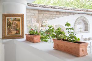 Zahrada ubytování Provence Birtok