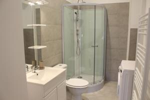 W łazience znajduje się prysznic, toaleta i umywalka. w obiekcie Le Napoléon w mieście Luxeuil-les-Bains