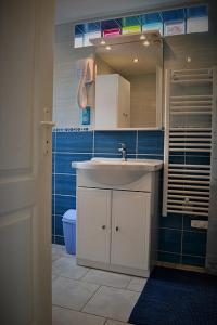 een badkamer met een wastafel en een blauwe muur bij Le Nid Des Grands Geais in Le Crotoy