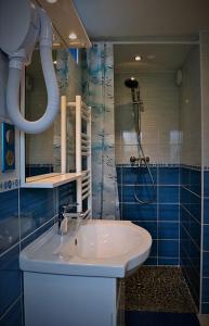 La salle de bains est pourvue d'un lavabo et d'une douche. dans l'établissement Le Nid Des Grands Geais, au Crotoy