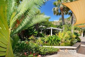 a garden with a pond and plants and palm trees at Hotel Parco Smeraldo Terme in Ischia