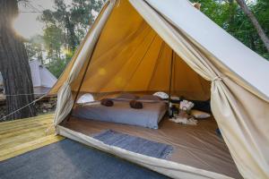 une tente avec un lit et des animaux rembourrés dans l'établissement Camp 'Dvor' bell tent accommodation, à Manjadvorci