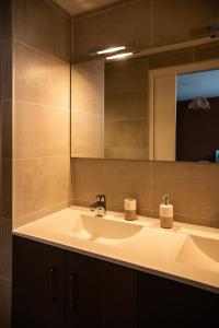 a bathroom with a sink and a mirror at La Longere d'Helene in Lauzach