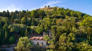 uma casa velha numa colina com árvores em Kefalonian Luxury Villas em Kástron