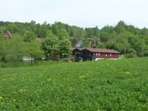 un champ d'herbe verte avec une maison en arrière-plan dans l'établissement Sweet Home, à Ronshausen