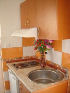 una cocina con fregadero y un jarrón de flores en Accommodation Milla, en Ulcinj