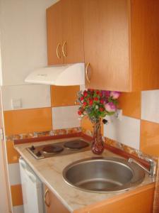 a kitchen with a sink and a vase of flowers at Accommodation Milla in Ulcinj