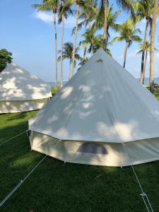 Glamping Kaki - Large Bell Tent في سنغافورة: خيمة بيضاء على العشب فيها نخل