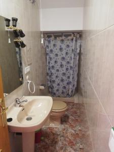 アロヨ・フリオにあるCasa Aliciaのバスルーム(洗面台、トイレ付)
