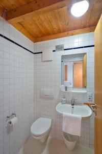 W łazience znajduje się umywalka, toaleta i lustro. w obiekcie Naturfreundehaus Bodensee w mieście Radolfzell am Bodensee