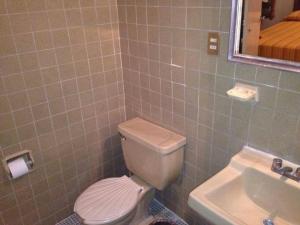 a bathroom with a toilet and a sink at Hotel Maria Luisa in Iguala de la Independencia