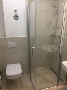 a bathroom with a shower with a toilet and a sink at Am Hafen - Ohlerichspeicher in Wismar +12 photos