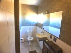 ein Bad mit einem WC und einem Waschbecken in der Unterkunft Solitaire Roadhouse in Solitaire